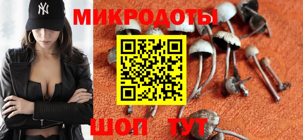 Псилоцибиновые грибы MAGIC MUSHROOMS Сегежа